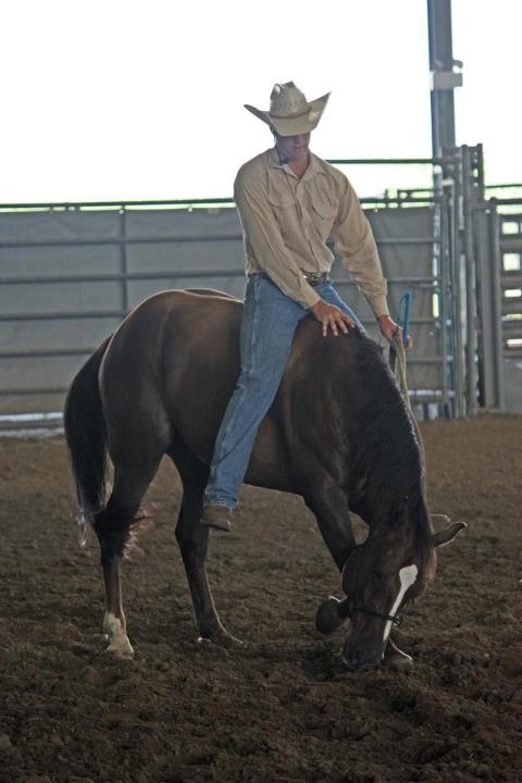 Michael can help you and your horse communication through Natural Horsemanship!