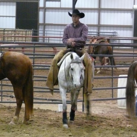 Michael can help you and your horse communication through Natural Horsemanship!