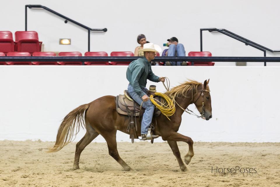 Michael can help you and your horse communication through Natural Horsemanship!