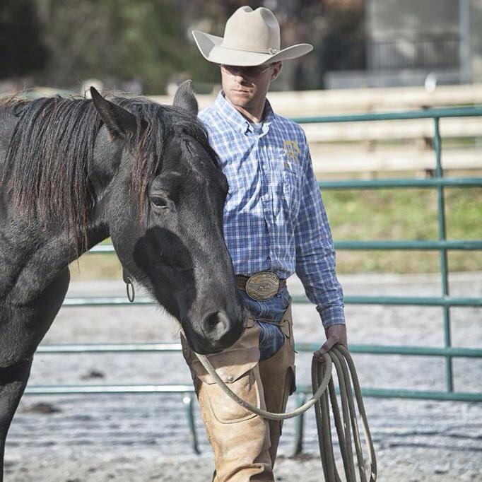 Michael's training methods will set you and your horse on a road to a better future!