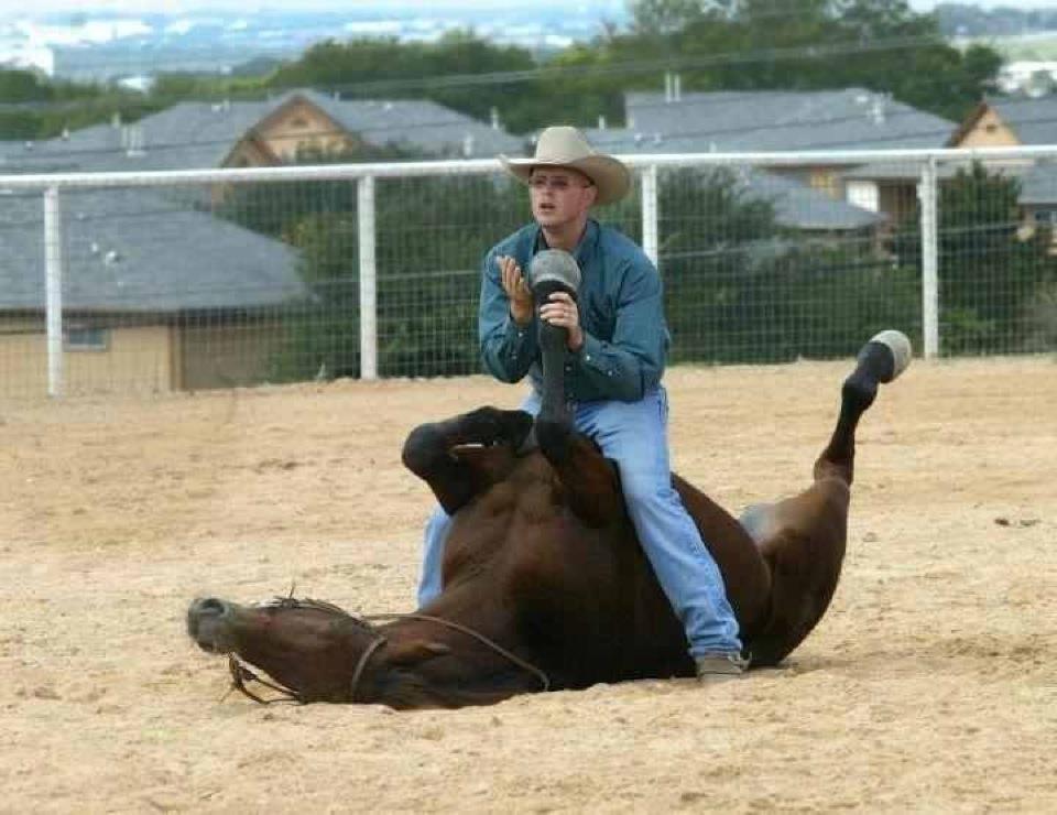 Michael can teach your horse ground skills on line through Natural Horsemanship!
