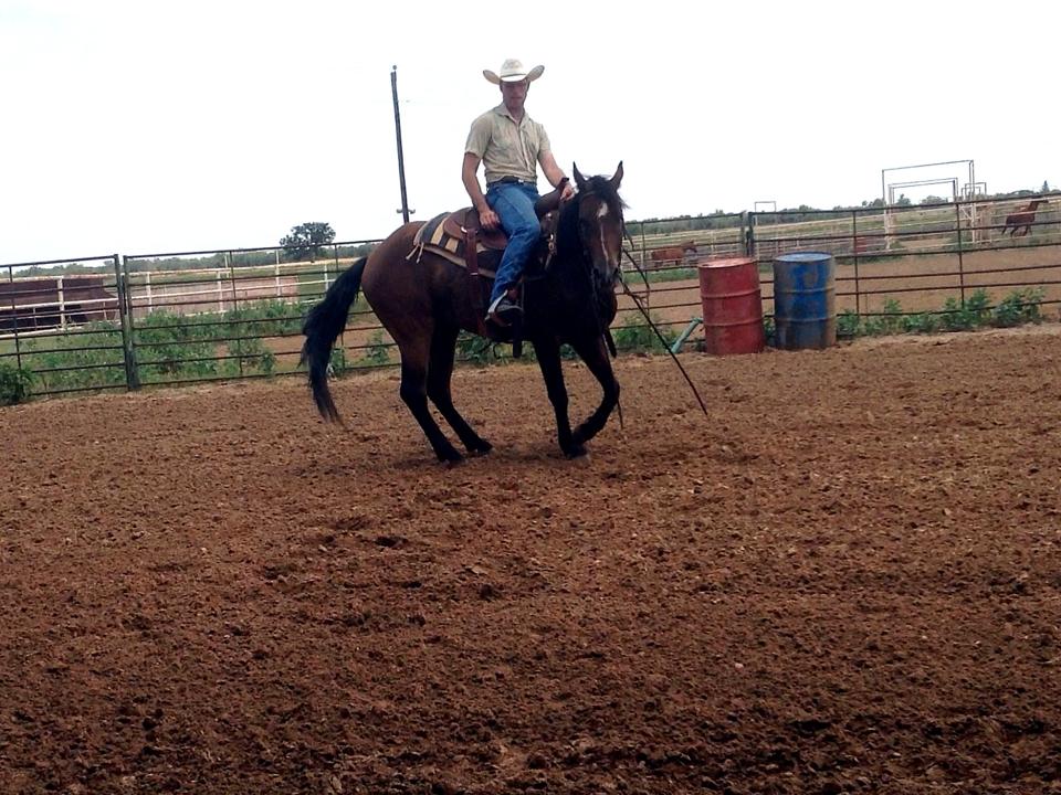 Michael can help you and your horse communication through Natural Horsemanship!