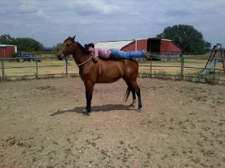 Michael can help you and your horse communication through Natural Horsemanship!